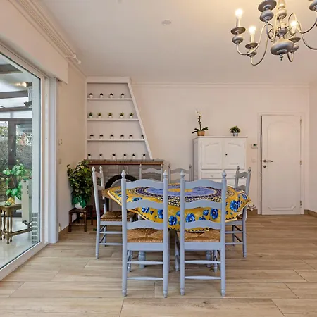 Patrick V3 - 863 * Коксейде