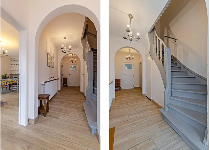 Patrick V3 * Коксейде